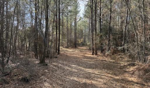 Photo #76 of 3572 NC Highway 42 E, Tarboro, NC 42.8 acres