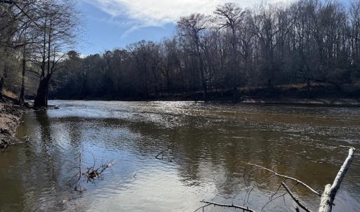 Photo #82 of 3572 NC Highway 42 E, Tarboro, NC 42.8 acres