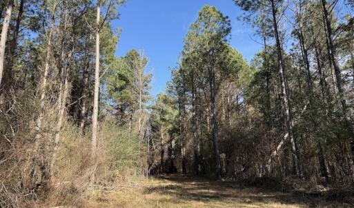 Photo #85 of 3572 NC Highway 42 E, Tarboro, NC 42.8 acres