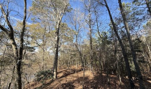 Photo #86 of 3572 NC Highway 42 E, Tarboro, NC 42.8 acres