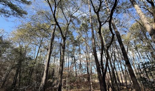 Photo #87 of 3572 NC Highway 42 E, Tarboro, NC 42.8 acres