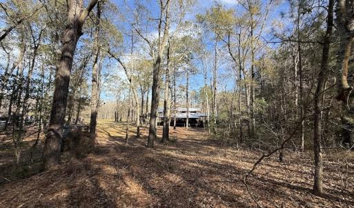 Photo #92 of 3572 NC Highway 42 E, Tarboro, NC 42.8 acres