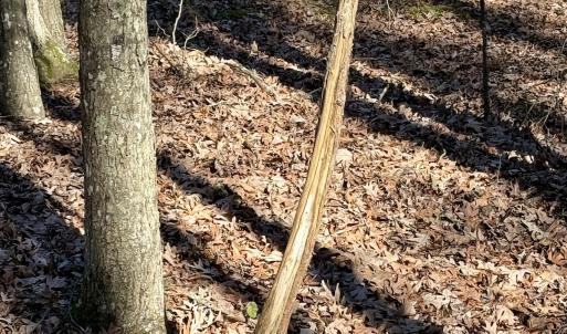 Photo #12 of 200 harbor drive west, Lexington, NC 4.1 acres