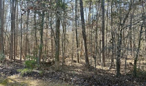 Photo #16 of 200 harbor drive west, Lexington, NC 4.1 acres