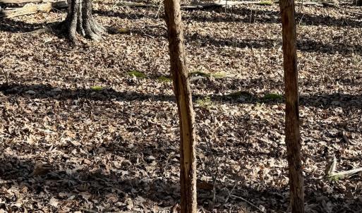 Photo #19 of 200 harbor drive west, Lexington, NC 4.1 acres