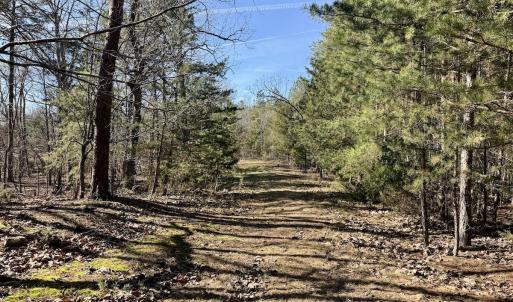 Photo #3 of 200 harbor drive west, Lexington, NC 4.1 acres