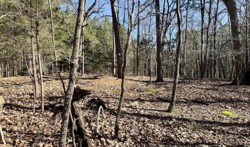 Photo #7 of 200 harbor drive west, Lexington, NC 4.1 acres