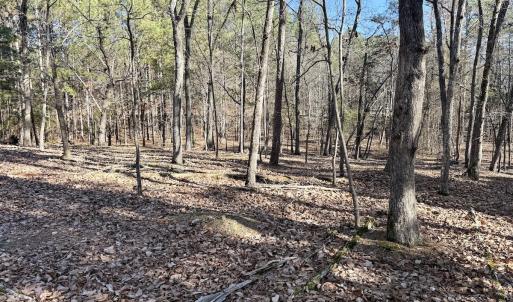 Photo #9 of 200 harbor drive west, Lexington, NC 4.1 acres