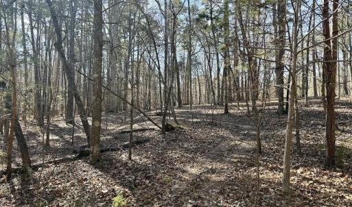 Photo #24 of 200 harbor drive west, Lexington, NC 4.1 acres