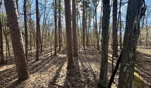 Photo #27 of 200 harbor drive west, Lexington, NC 4.1 acres