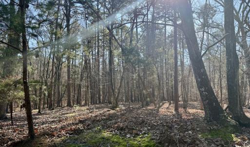Photo #29 of 200 harbor drive west, Lexington, NC 4.1 acres