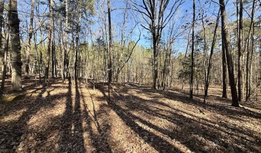Photo #30 of 200 harbor drive west, Lexington, NC 4.1 acres