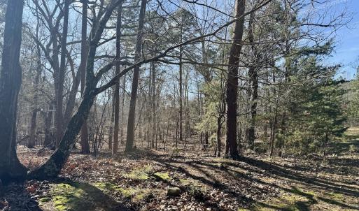 Photo #33 of 200 harbor drive west, Lexington, NC 4.1 acres