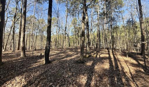 Photo #34 of 200 harbor drive west, Lexington, NC 4.1 acres
