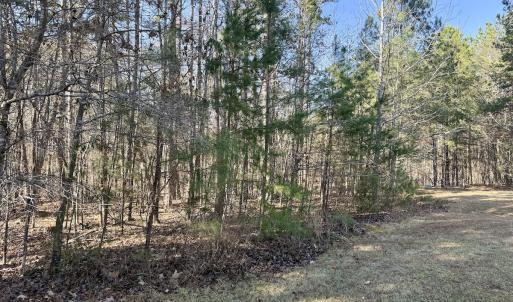 Photo #36 of 200 harbor drive west, Lexington, NC 4.1 acres