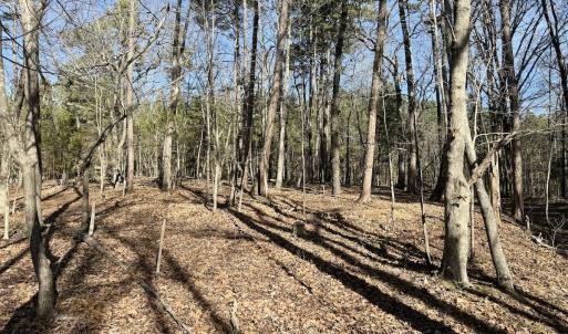 Photo #37 of 200 harbor drive west, Lexington, NC 4.1 acres