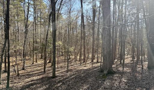 Photo #40 of 200 harbor drive west, Lexington, NC 4.1 acres
