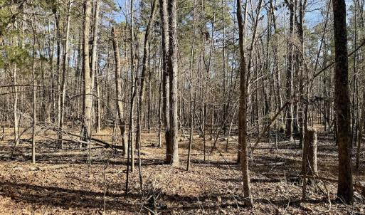 Photo #41 of 200 harbor drive west, Lexington, NC 4.1 acres