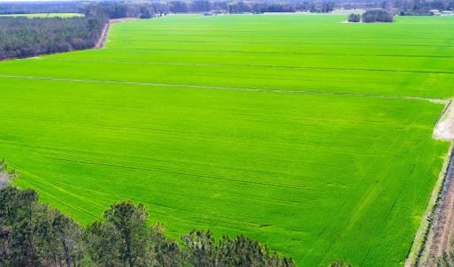 Photo #1 of NC 171 Hwy, Washington, NC 105.0 acres