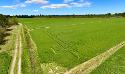 Photo #4 of NC 171 Hwy, Washington, NC 105.0 acres