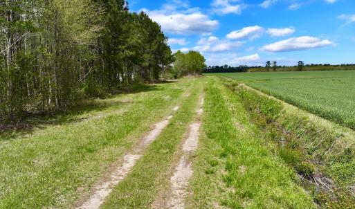 Photo #9 of NC 171 Hwy, Washington, NC 105.0 acres