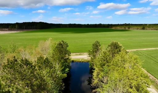 Photo #10 of NC 171 Hwy, Washington, NC 105.0 acres