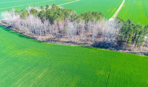 Photo #13 of NC 171 Hwy, Washington, NC 105.0 acres