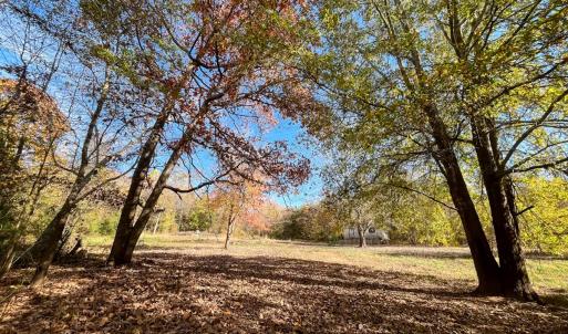 Photo #1 of 10406 Park Springs Rd, Ruffin, NC 8.7 acres