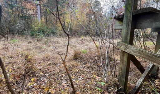 Photo #7 of 10406 Park Springs Rd, Ruffin, NC 8.7 acres