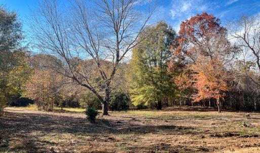 Photo #12 of 10406 Park Springs Rd, Ruffin, NC 8.7 acres