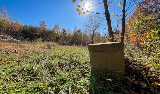 Photo #14 of 10406 Park Springs Rd, Ruffin, NC 8.7 acres