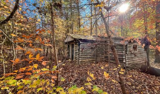 Photo #21 of 10406 Park Springs Rd, Ruffin, NC 8.7 acres