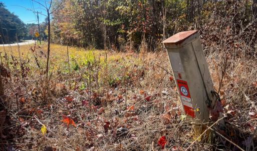 Photo #22 of 10406 Park Springs Rd, Ruffin, NC 8.7 acres