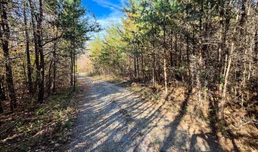 Photo #24 of 10406 Park Springs Rd, Ruffin, NC 8.7 acres