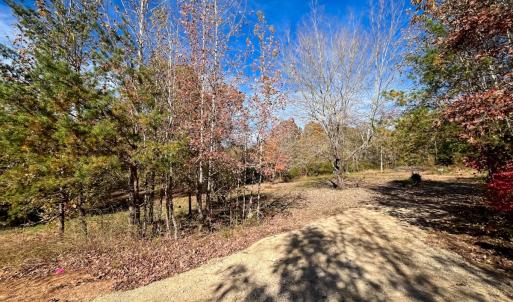 Photo #27 of 10406 Park Springs Rd, Ruffin, NC 8.7 acres
