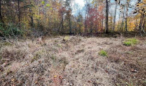 Photo #30 of 10406 Park Springs Rd, Ruffin, NC 8.7 acres