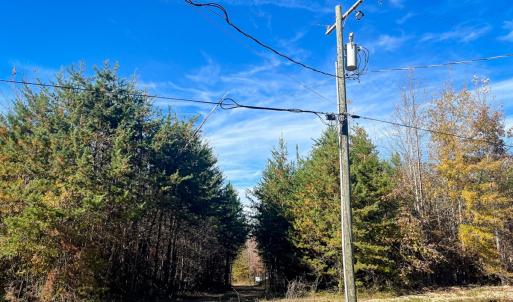 Photo #34 of 10406 Park Springs Rd, Ruffin, NC 8.7 acres