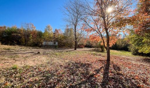 Photo #38 of 10406 Park Springs Rd, Ruffin, NC 8.7 acres
