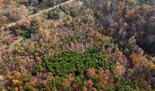 Photo #40 of 10406 Park Springs Rd, Ruffin, NC 8.7 acres