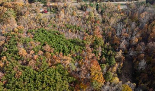 Photo #42 of 10406 Park Springs Rd, Ruffin, NC 8.7 acres