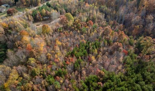 Photo #45 of 10406 Park Springs Rd, Ruffin, NC 8.7 acres