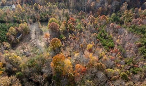 Photo #46 of 10406 Park Springs Rd, Ruffin, NC 8.7 acres