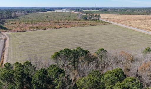 Photo #3 of  2044 NC 903 N, Stokes, NC 2.3 acres