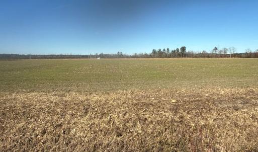 Photo #2 of 2034 NC 903 N, Stokes, NC 2.6 acres