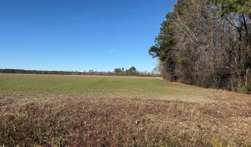 Photo #2 of 2056 NC 903 N, Stokes, NC 2.6 acres