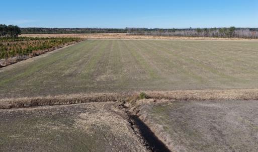 Photo #1 of 2020 NC 903 N, Stokes, NC 4.9 acres