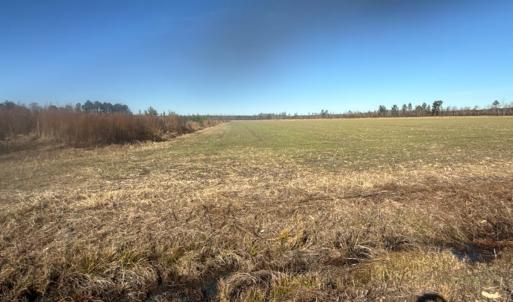 Photo #2 of 2020 NC 903 N, Stokes, NC 4.9 acres