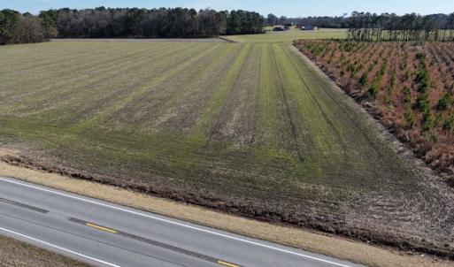 Photo #7 of 2020 NC 903 N, Stokes, NC 4.9 acres