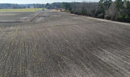 Photo #10 of Off NC 131 Hwy, Bladenboro, NC 20.2 acres