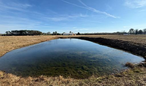 Photo #6 of Off NC 131 Hwy, Bladenboro, NC 20.2 acres